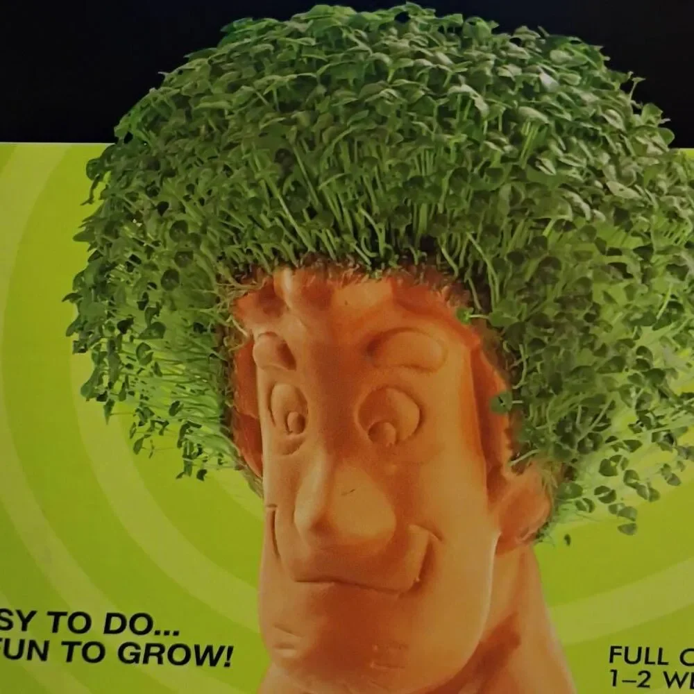 NWT Cartoon Network Scooby Doo Chia Shaggy